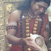 IMG_3242_CMP_WM Done